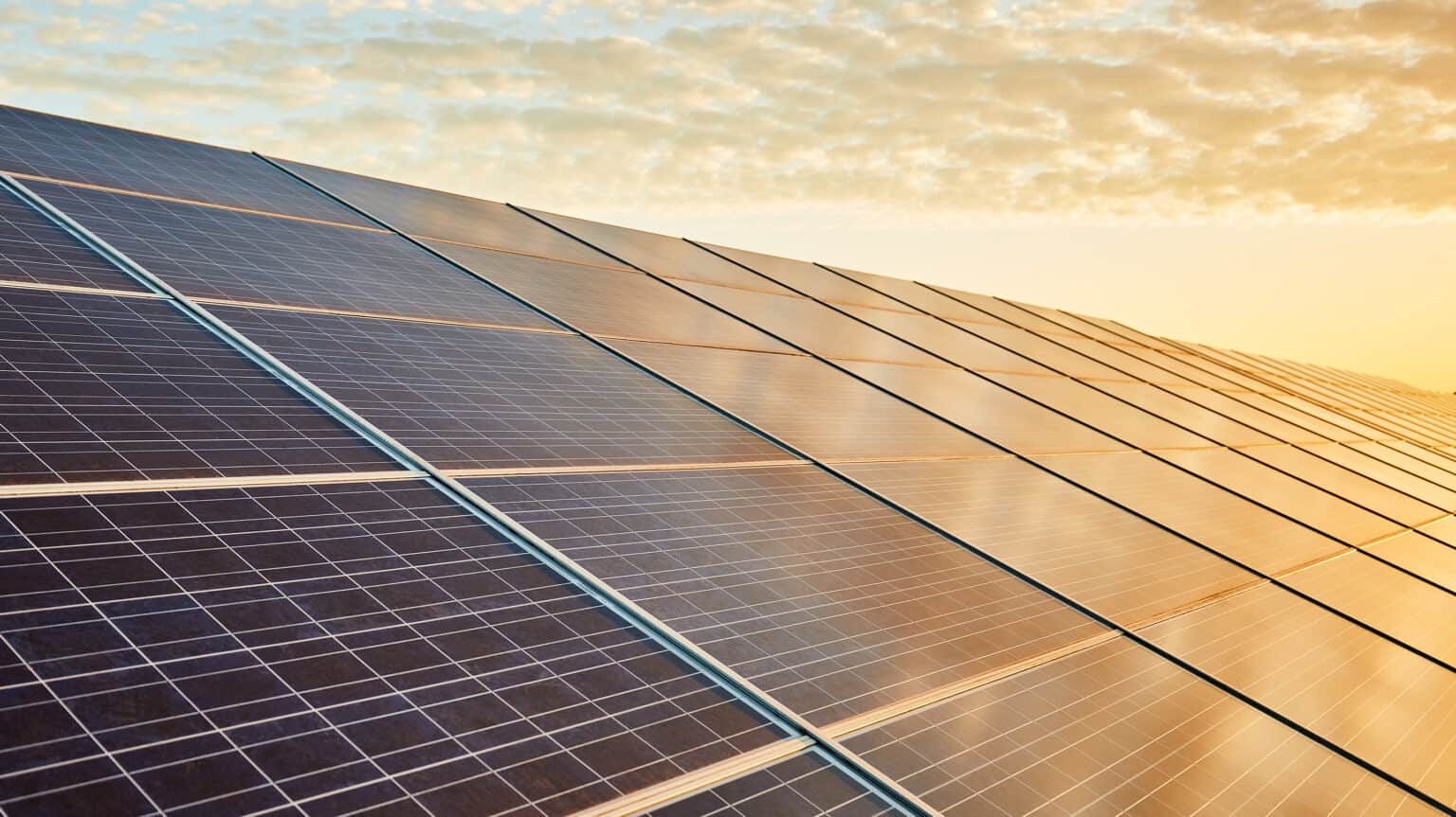 Mehrere Photovoltaik-Panele einer Solaranlage